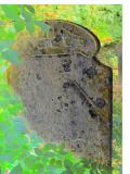 image of grave number 663514